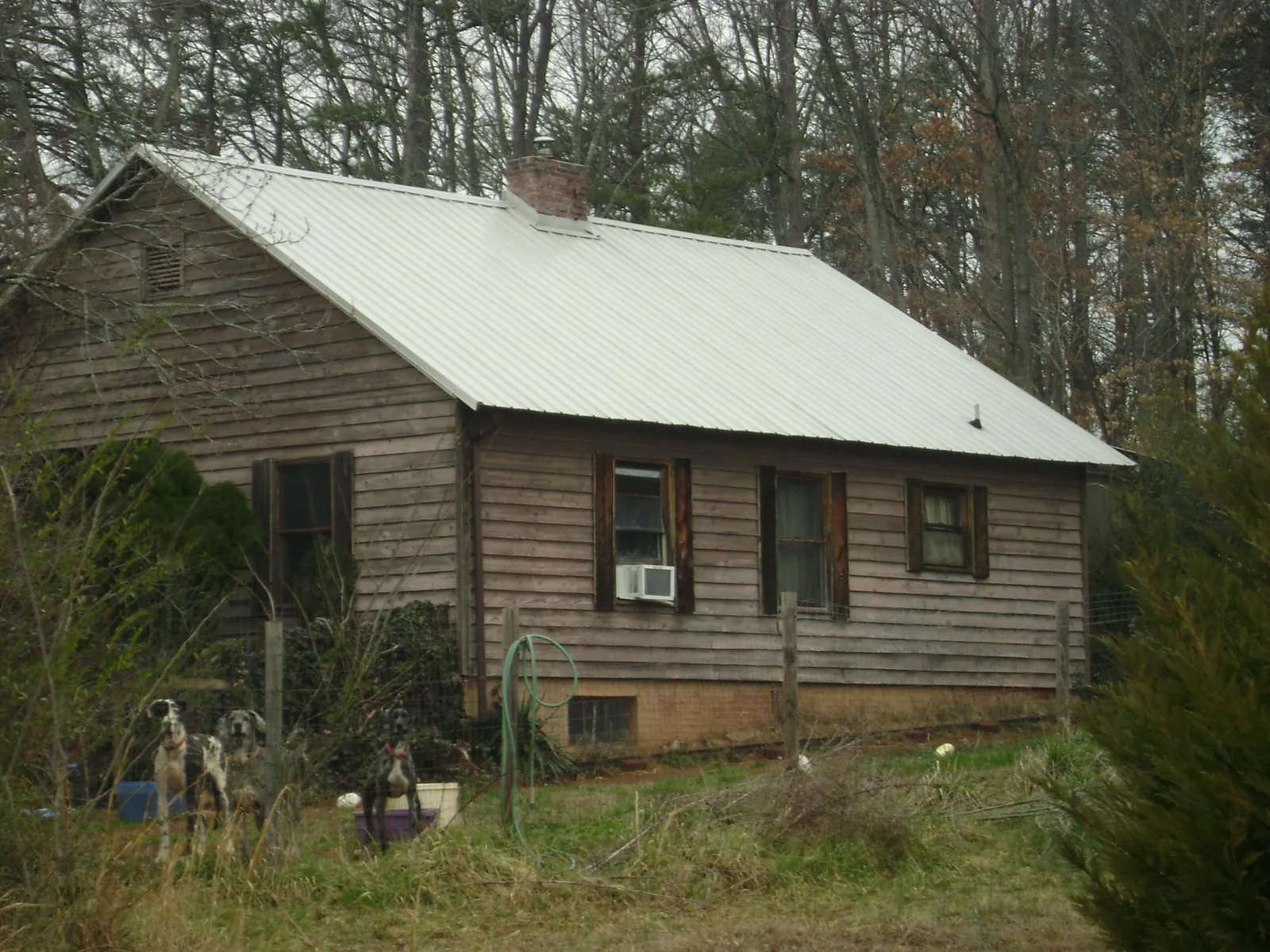 White metal roof on an old wood sided farmhouse, from a Metal Roof Installation job in Sunfield